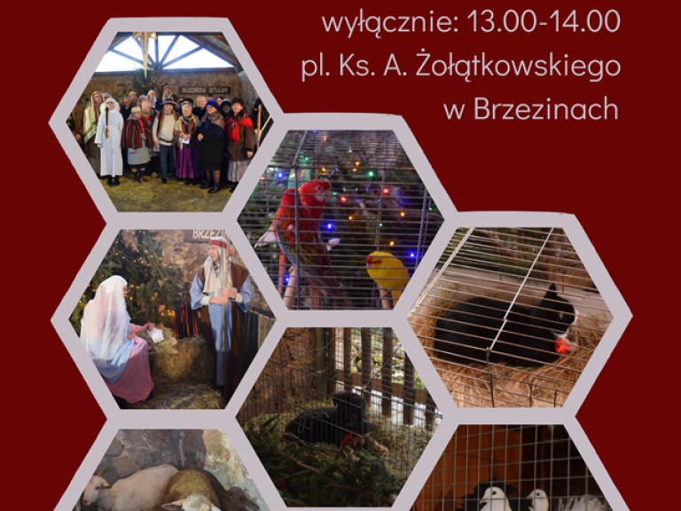 Brzezińskie Kolędowanie przy Żywej Szopce (Copy)