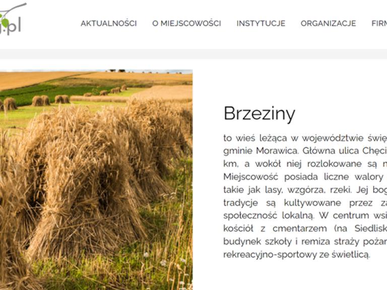 brzezinyorgpl (1)