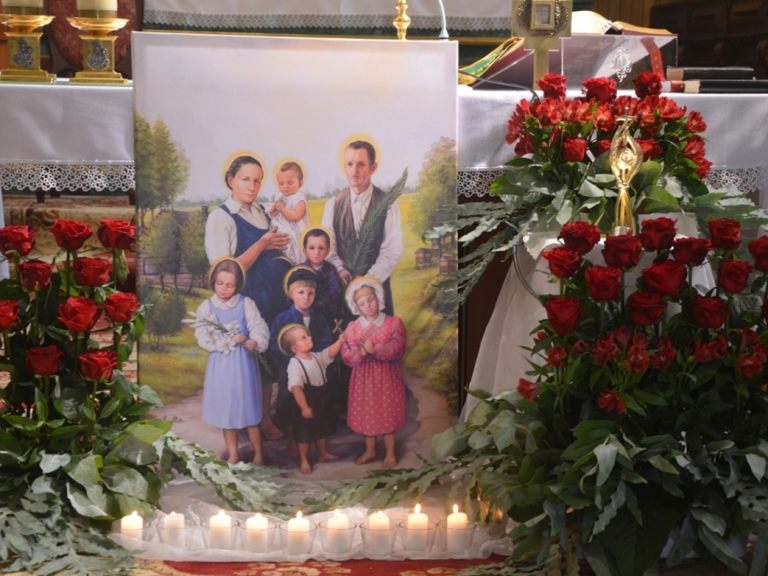 wprowadzenierelikwiiulmowiebrzeziny (9)