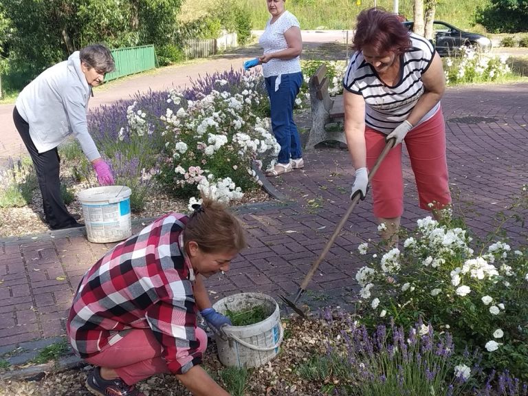 porzadkiwbrzezinach (6)